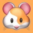 WWW,av938·COM网站APP最新版